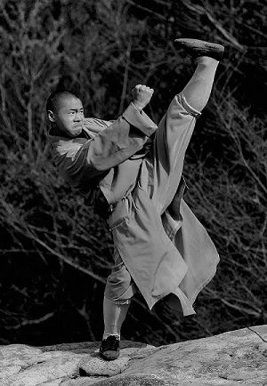 Kung Fu vadba