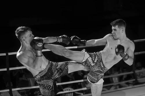 Sanshou or Sanda practice